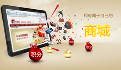 网上商城建设